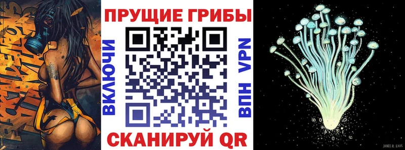 Галлюциногенные грибы Psilocybe Купить Сергач